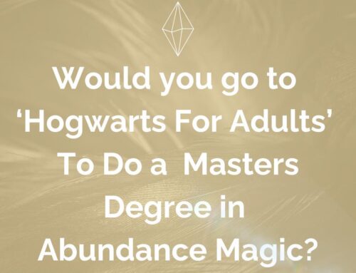 Would you go to a Hogwarts for Adults?